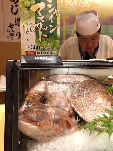Japan- Tsukiji Market 