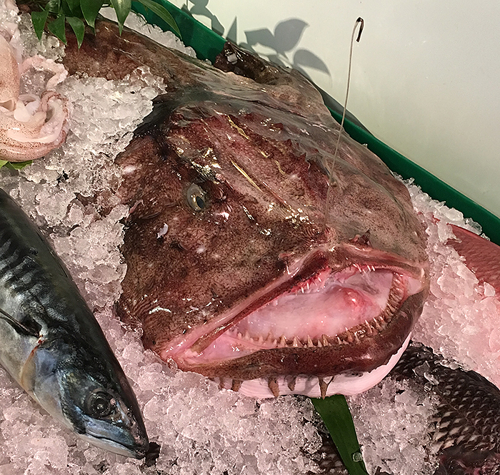 Monkfish- Ugly Deliciousness!
