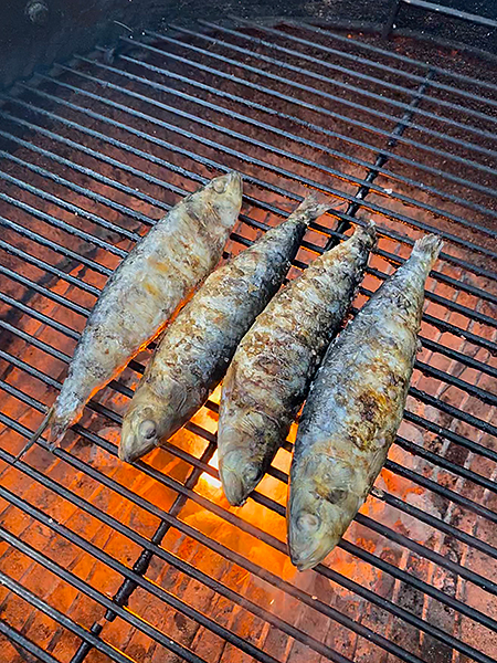 sardines grilling